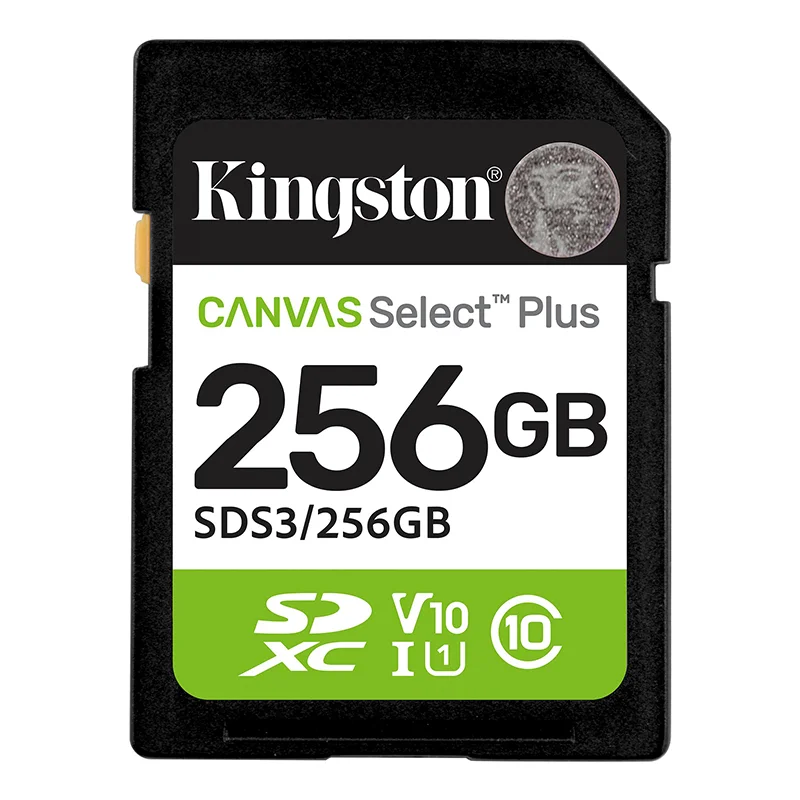 MEMORY KINGS - MEMORIA SD 256GB KINGSTON CANVAS SELECT PLUS
