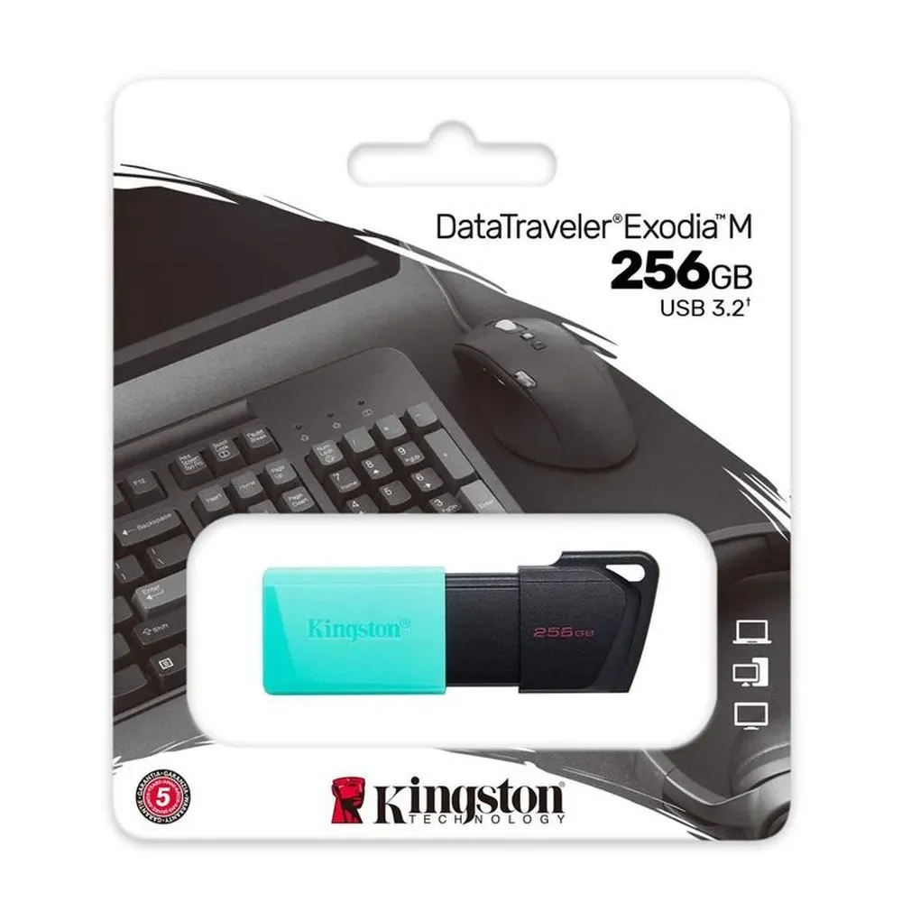 KINGSTON MEMORIA USB DTXM/256GB