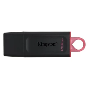 KINGSTON EXODIA DTX MEMORIA USB DE 256GB